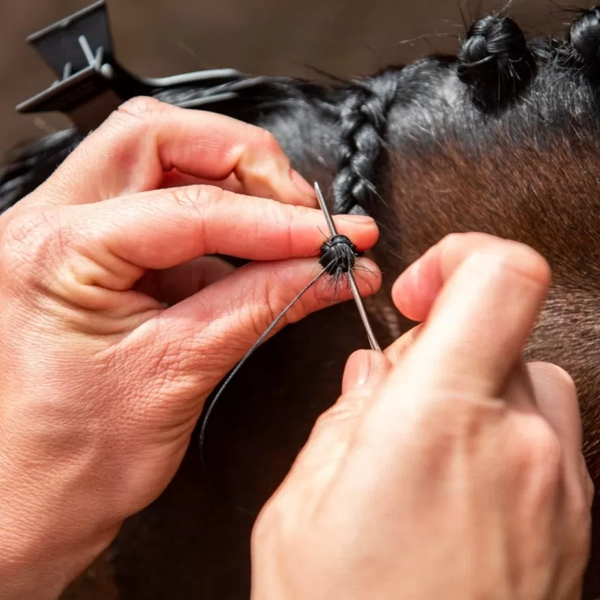 Smart Grooming Plaiting Needles