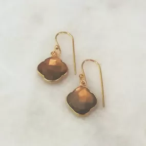 Tiger's Eye Single Drop Hook Earrings