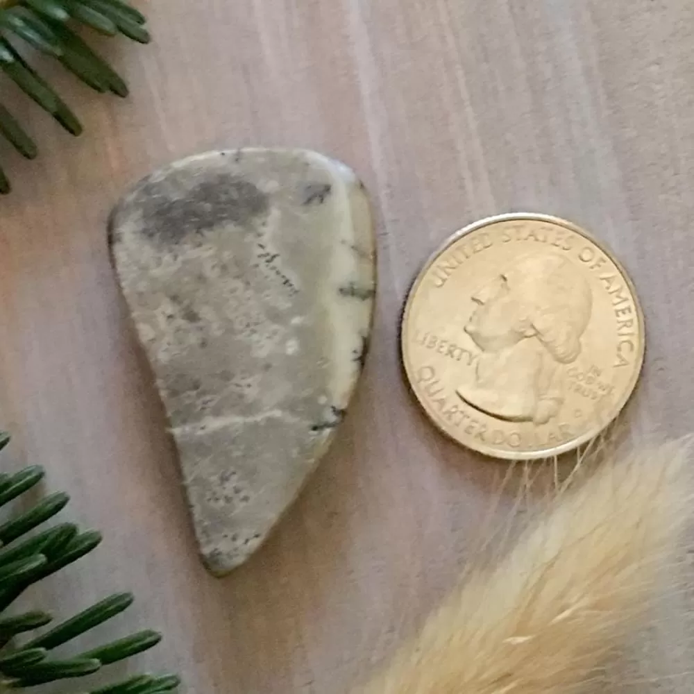 Trapper Creek Dendritic Agate Stone Cabochon