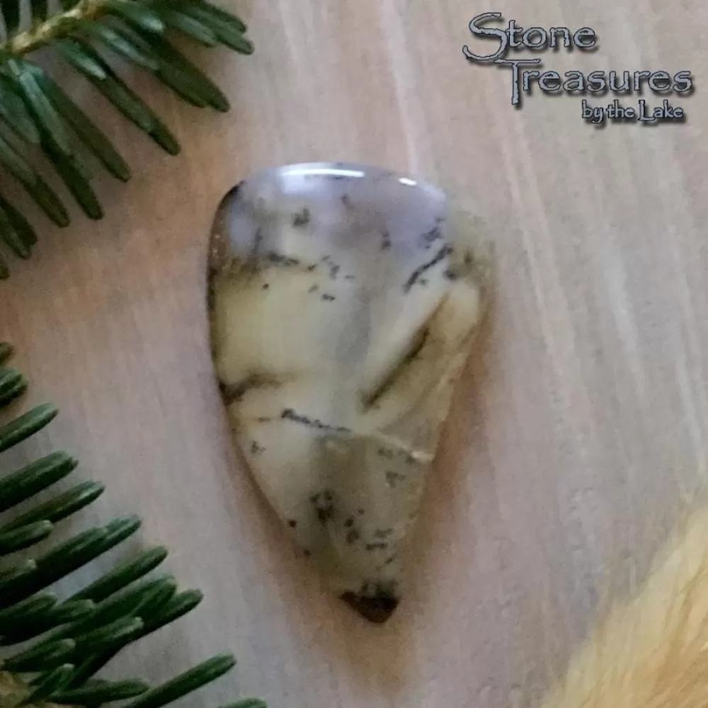 Trapper Creek Dendritic Agate Stone Cabochon